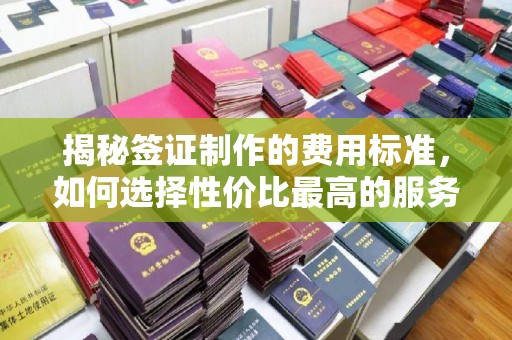 马村揭秘签证制作的费用标准，如何选择性价比最高的服务？